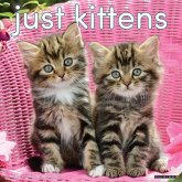 Kittens 2026 12 X 12 Wall Calendar Kittens 2026 12 X 12 Wall Calendar