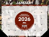 Mushrooms 2026 22 X 17 Large Monthly Deskpad Mushrooms 2026 22 X 17 Large Monthly Deskpad