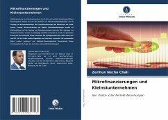 Cover Mikrofinanzierungen und Kleinstunternehmen