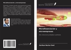 Cover Microfinanciación y microempresas