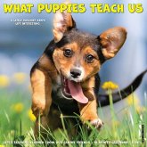 What Puppies Teach Us 2026 12 X 12 Wall Calendar What Puppies Teach Us 2026 12 X 12 Wall Calendar