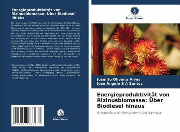 Energieproduktivität von Rizinusbiomasse: Über Biodiesel hinaus