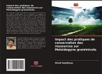 Impact des pratiques de conservation des ressources sur Meloidogyne graminicola Impact des pratiques de conservation des ressources sur Meloidogyne graminicola
