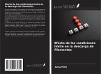 Efecto de las condiciones límite en la descarga de filamentos Efecto de las condiciones límite en la descarga de filamentos