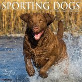 Sporting Dogs 2026 12 X 12 Wall Calendar Sporting Dogs 2026 12 X 12 Wall Calendar