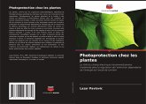 Photoprotection chez les plantes Photoprotection chez les plantes