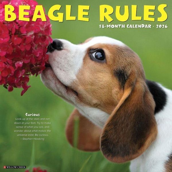 Beagle Rules 2026 12 X 12 Wall Calendar Beagle Rules 2026 12 X 12 Wall Calendar