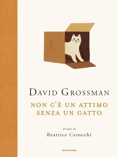 Cover Non c'è un attimo senza un gatto