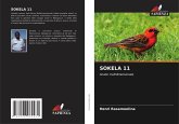 SOKELA 11 SOKELA 11