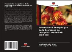 Cover Productivité énergétique de la biomasse de jatropha : au-delà du biodiesel