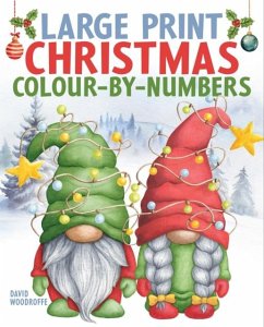 Cover Large Print Christmas Colour-by-Numbers