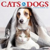 Cats & Dogs 2026 12 X 12 Wall Calendar Cats & Dogs 2026 12 X 12 Wall Calendar