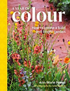 Cover A Year of Colour