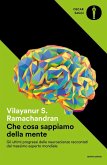 Che cosa sappiamo della mente Che cosa sappiamo della mente