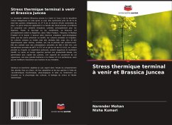 Cover Stress thermique terminal à venir et Brassica Juncea