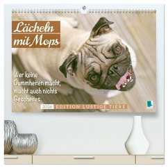 Lächeln mit Mops (hochwertiger Premium Wandkalender 2026 DIN A2 quer), Kunstdruck in Hochglanz Lächeln mit Mops (hochwertiger Premium Wandkalender 2026 DIN A2 quer), Kunstdruck in Hochglanz