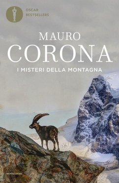 Cover I misteri della montagna