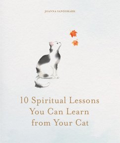 10 Spiritual Lessons You Can Learn from Your Cat - Sandsmark, Joanna