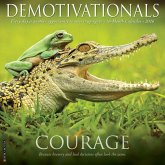 Demotivationals 2026 12 X 12 Wall Calendar Demotivationals 2026 12 X 12 Wall Calendar