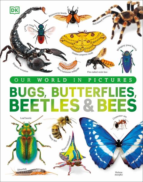 Our World in Pictures Bugs, Butterflies, Beetles and Bees Our World in Pictures Bugs, Butterflies, Beetles and Bees