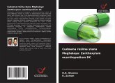 Cudowna ro¿lina stanu Meghalaya: Zanthoxylum acanthopodium DC Cudowna ro¿lina stanu Meghalaya: Zanthoxylum acanthopodium DC