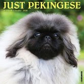 Pekingese 2026 12 X 12 Wall Calendar Pekingese 2026 12 X 12 Wall Calendar