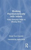 Working Psychoanalytically with Infants
