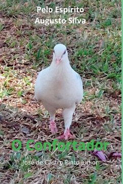 O Confortador - de Castro Pinto Júnior, José