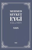 Mehmet Sevket Eygi Külliyati 29