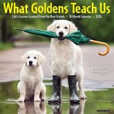 What Goldens Teach Us 2026 12 X 12 Wall Calendar