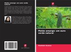 Melão amargo: um ouro verde natural