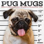 Pug Mugs 2026 12 X 12 Wall Calendar Pug Mugs 2026 12 X 12 Wall Calendar