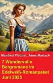 7 Wundervolle Bergromane im Edelweiß-Romanpaket Juni 2025 (eBook, ePUB)
