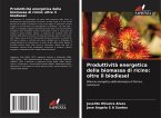 Produttività energetica della biomassa di ricino: oltre il biodiesel
