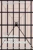 The Pains of Mass Imprisonment (eBook, PDF)