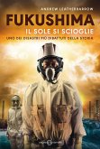 Fukushima. Il sole si scioglie Fukushima. Il sole si scioglie