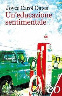 Cover Un' educazione sentimentale