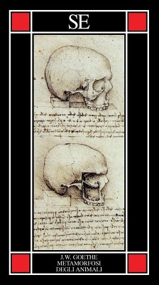 Cover La metamorfosi degli animali