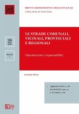 Le strade comunali, vicinali, provinciali e regionali manutenzione e responsabilità Le strade comunali, vicinali, provinciali e regionali manutenzione e responsabilità