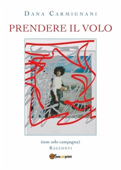 Cover Prendere il volo