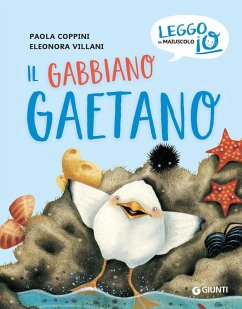 Il gabbiano Gaetano Cover Il gabbiano Gaetano