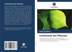 Lichtschutz bei Pflanzen