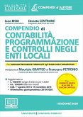 Compendio di contabilità, programmazione e controlli negli enti locali