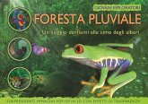 La foresta pluviale. Un viaggio dai fiume alle cime degli alberi La foresta pluviale. Un viaggio dai fiume alle cime degli alberi
