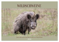 Cover Wildschweine ganz nah an der Sau (Sus scrofa) von Tanja Riedel (Tischkalender 2026 DIN A5 quer), CALVENDO Monatskalender