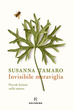 Invisibile meraviglia. Piccole lezioni sulla natura - Tamaro, Susanna Invisibile meraviglia. Piccole lezioni sulla natura - Tamaro, Susanna