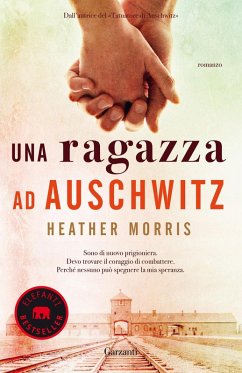 Cover Una ragazza ad Auschwitz