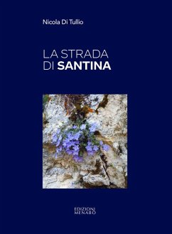 Cover La strada di Santina