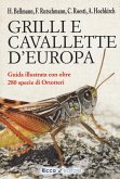Grilli e cavallette d'Europa Grilli e cavallette d'Europa