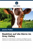 Reaktion auf die Dürre im Grey Valley Reaktion auf die Dürre im Grey Valley